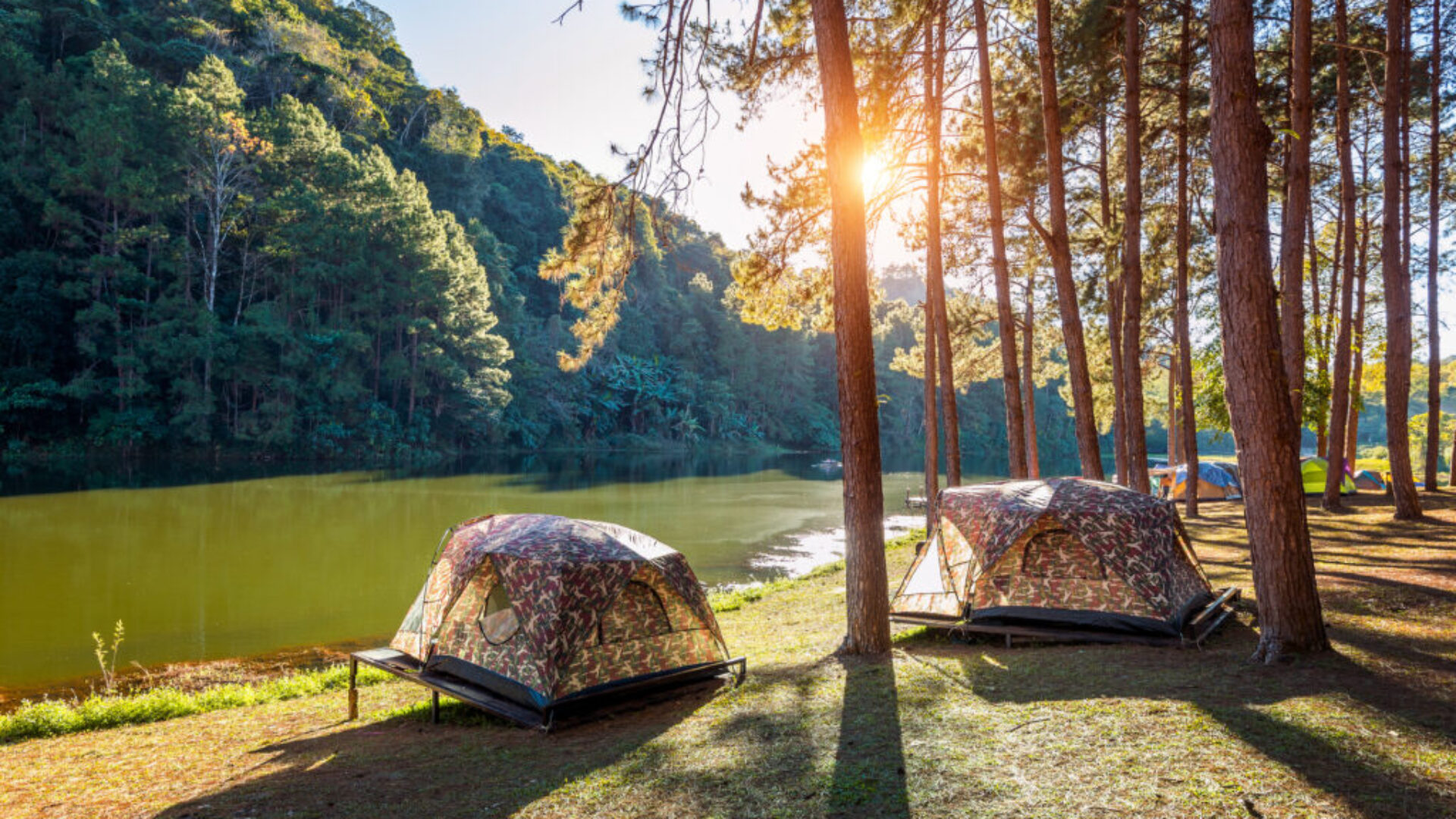 Enjoy peaceful nights under the stars surrounded by nature.